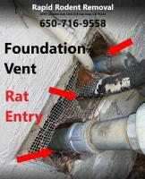 Rapid Rodent Removal image 15